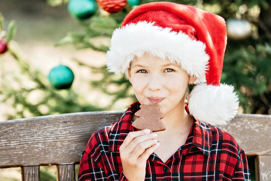 Christmas in July with happy child wearing Santa hat and eating gingerbread cookie beside decorated Christmas tree in sunny summer garden.