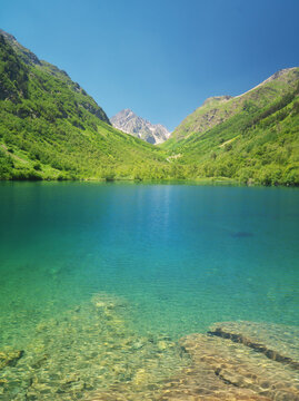 Transparent turquoise Baduk lake in Dombay lies near green forest under a clear blue sky. Vertical Teberda alpine landscape