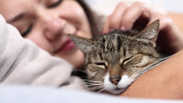 Beautiful gray tabby sleeps peacefully on owners arm. Gentle fingers scratch its head as both share a quiet moment of comfort and trust.