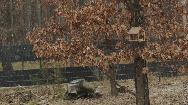 First snow falling on an outdoor surface covered with autumn leaves, marking the transition from fall to winter in nature.