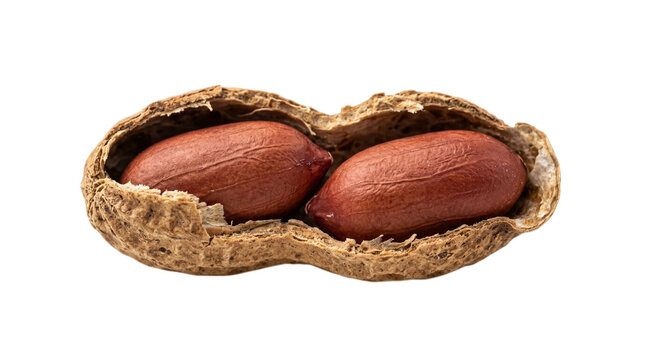 Open peanut shell with two kernels inside isolated on transparent background