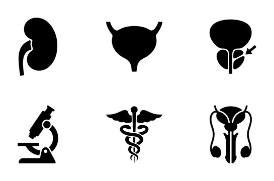 Medical Icons Set: Kidney, Bladder, Prostate, Microscope, Caduceus, Reproductive System