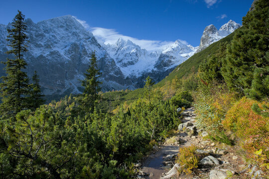 Autumn in the High Tatra Mountains, the Valley of the Green Lake, Slovakia