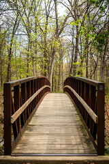 Obraz premium Wooden forest bridge over a trail