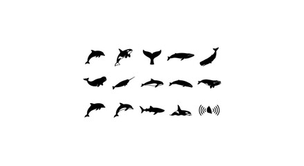 Ocean Wildlife Silhouettes: Whales, Dolphins, Sharks, and Marine Mammals Vector Icons Set © Mehnaj