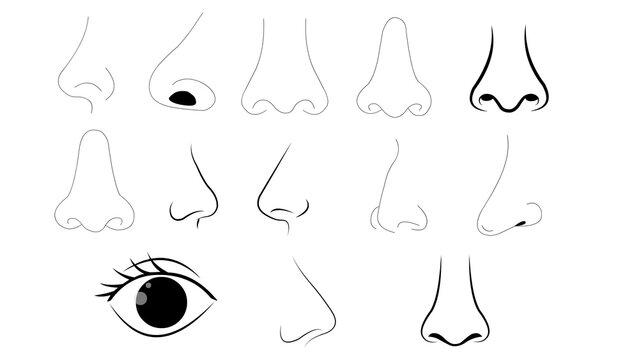 Human Nose Shapes Character Facial Features Line Art Vector Set