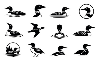 Fototapeta premium Loon bird vector silhouettes and icons set featuring various poses of the common loon swimming and flying for wildlife logo design