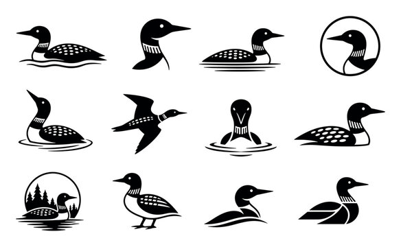 Loon bird vector silhouettes and icons set featuring various poses of the common loon swimming and flying for wildlife logo design
