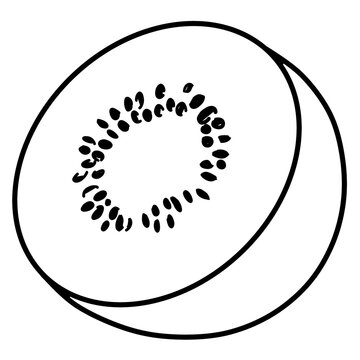 Kiwi fruit cross section slice line art coloring page vector