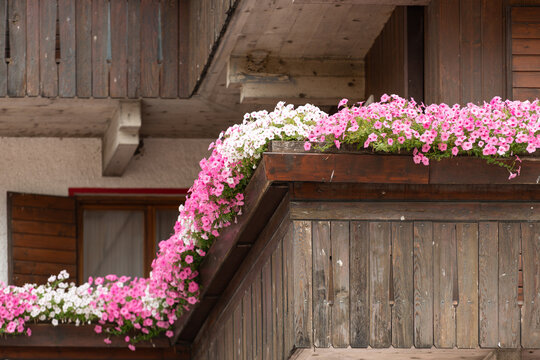 Alleghe, Italy. Traditional Alpine wooden architecture decorated with colorful flower boxes