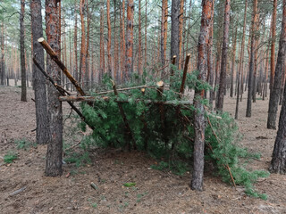 Natural woodland canopy created from branches, showcasing a practical shelter within a peaceful forest setting © Harmony Video Pro