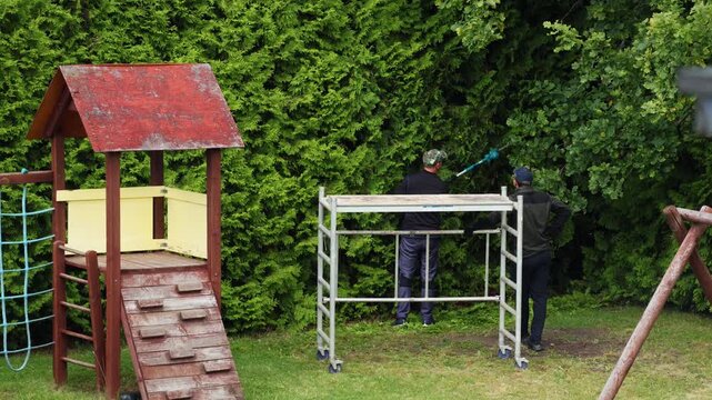 Two professional gardeners are landscaping a residential backyard, using a mobile scaffold and a long pole hedge trimmer to prune and shape a tall thuja hedge next to a children's playground