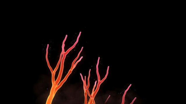 Bioluminescent coral branches on black background. Glowing orange sea fans in dark water. Deep sea underwater life macro photography.