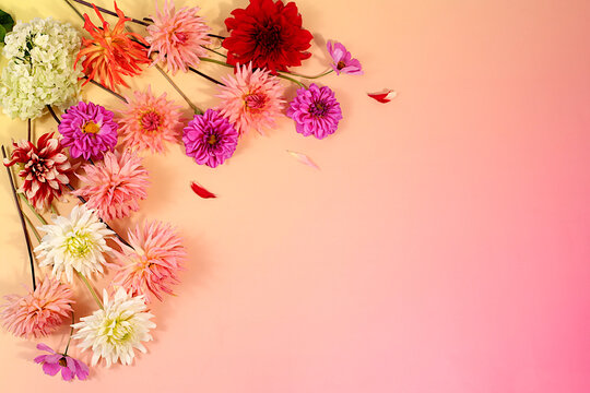 Autumn sunny banner with dahlia flowers and space for text, abstract floral arrangement and autumn still life with beautiful flowers, background and template for screen, minimalist holiday concept,