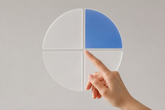 Clean Decision Wheel Interface for Strategic Choice Priority Analysis and Visual Decision Making