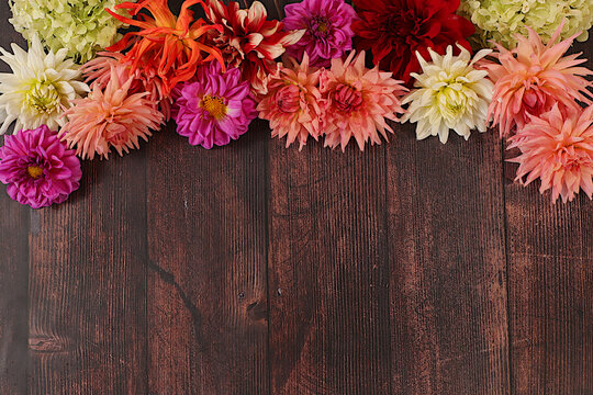 Autumn still life with beautiful flowers. Autumn sunny banner with dahlia flowers and space for text, abstract floral composition and background and template for screen, minimalist holiday concept,