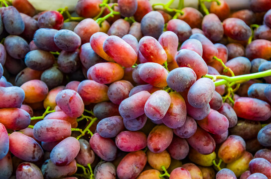 La uva es una fruta &mdash;bot&aacute;nicamente una baya&mdash; proveniente de las vides le&ntilde;osas de hoja caduca del g&eacute;nero de plantas con flores *Vitis*