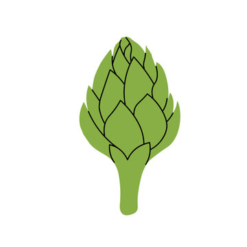 Green artichoke vegetable icon on isolated background. Fresh raw edible thistle flower head vector illustration, organic food ingredient. Cynara scolymus bud for healthy eating concept, logo