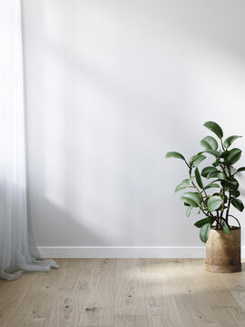 Minimalist interior composition with curtain flower and empty wall background, 3d render