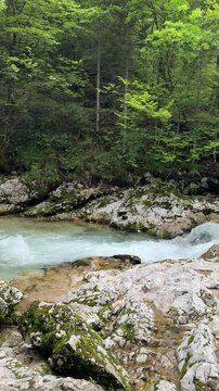 T&uuml;rkisfarbener Gebirgsfluss mit Felsen und dichtem Bergwald in den Julischen Alpen Sloweniens