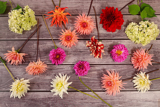 Autumn sunny banner with dahlia flowers, abstract floral arrangement and autumn still life with beautiful flowers, background and template for screen, minimalist holiday concept, greeting card.