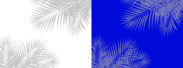 A of grey palm tree leaves on a white background, tropical and botanical pattern concepts isolated on a transparent background © Design Planer