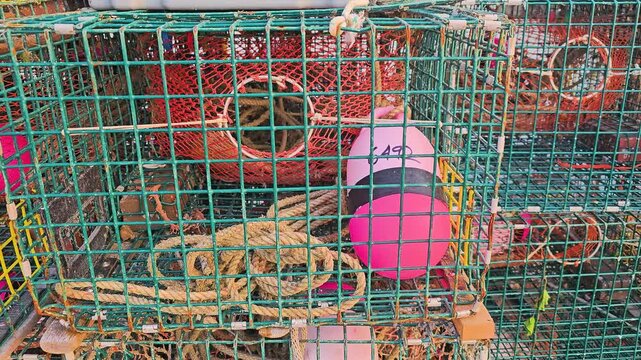 Close view of lobster trap equipment with bright blue wire, green mesh bags, rope knots, red buoy, and worn dock gear for commercial fishing and coastal harbor videos.