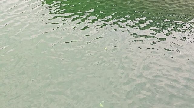 Close-up of shimmering water surface with pale turquoise and green tones, calm ripples, and abstract reflections for lake, ocean, summer travel, or nature background video.