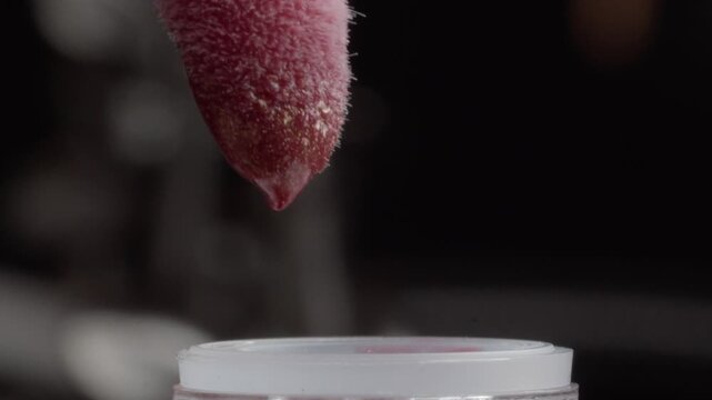 Macro shot showing red coated makeup applicator being inserted into cosmetic bottle during beauty product preparation with detailed texture and close focus