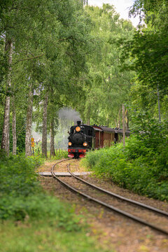 Alings&aring;s, Sweden - July 05 2026: Historic steam train traveling through dense green forest railway.