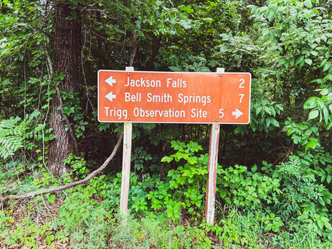 Brown directional road sign with white arrows pointing toward Jackson Falls, Bell Smith Springs, and Trigg Observation Site in Southern Illinois' Shawnee National Forest.