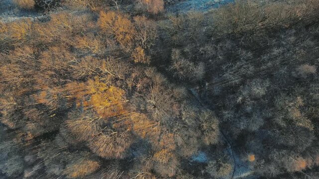 Aerial view of burned forest with smoldering remnants. Trees stand stark against scorched earth and frost. Dark gritty chemical plant. Producing pollution and adding to global warming