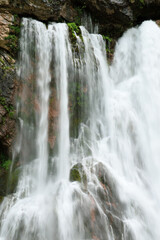 Fototapeta premium waterfall in the forest