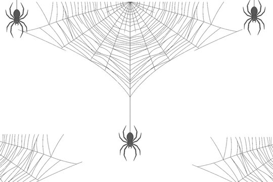 Three dark grey spiders hanging from intricate web patterns isolated on a plain white background surface