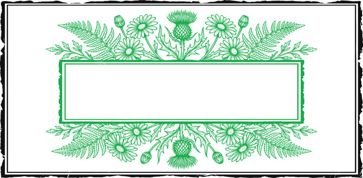 Green ink frame with thistles and daisies on a white background, with grunge border