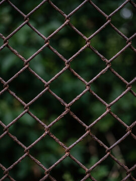 Old rusty chain link wire mesh fence with green foliage background