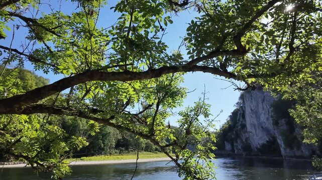 Picturesque view of the Danube Gorge from the riverbank in Kelheim, Bavaria. Lush green trees frame the shot on a sunny summer day