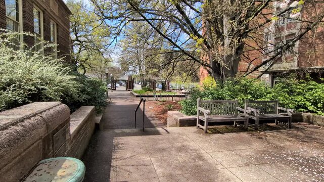 ideo showcases a peaceful university walkway between tall vintage buildings, with benches, mature trees, green bushes and blue skies creating a welcoming spring scene.