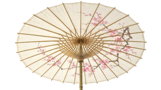 Traditional asian paper umbrella with cherry blossom pattern isolated on transparent background