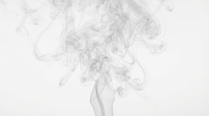 Obraz premium Abstract swirl of gray smoke rising in a delicate plume