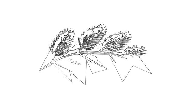 Minimalist black and white line art illustration of a pussy willow branch.