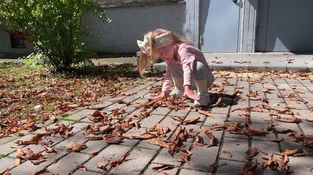 Young girl gathers fallen autumn leaves from a paved path outdoors, seasonal childhood activity, fall cleanup, nature play.