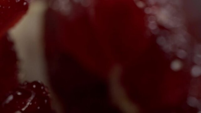 Extreme close up of fresh pomegranate aril showing glossy red surface, translucent flesh and natural juice droplets with detailed texture and rich color.