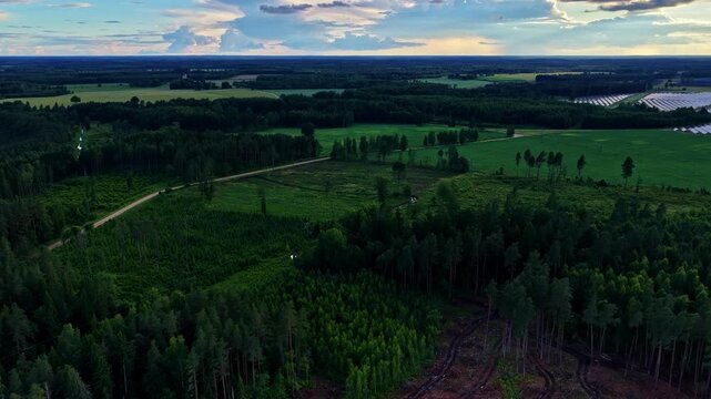 Expansive aerial view of a forest with a clear-cut area highlighting deforestation impact