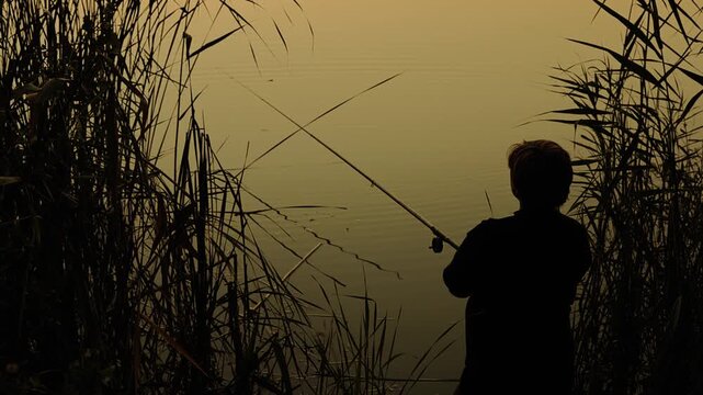 Atmospheric image of a perso fishing from the shore of a calm lake at sunset, surrounded by tall reeds and aquatic vegetation. The child is shown in dark silhouette, holding a fishing rod that extends