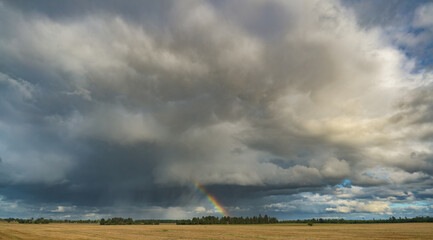 Dramatic storm clouds with a rainbow over a golden agricultural field and tree line, creating a striking rural landscape after rainfall © Orbs production