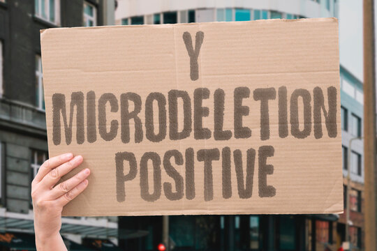 "Y microdeletion positive" Genetic testing found Y-chromosome deletion. YCHROMOSOME. MICRODELETION. GENETIC. MALE. AZOOSPERMIA.