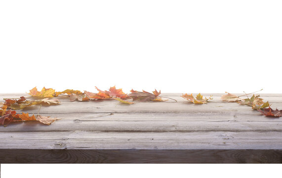 Autumn Fallen Leaves on a Rustic Wooden Table on transparent background. Light Through the Leaves. Autumn Product podium png
