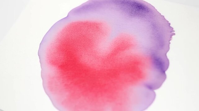 Pink and Purple Watercolor Paint Blot on White Paper Background