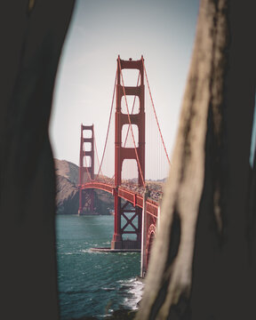 Aerial view of the Golden Gate Bridge framed by trees, showing the iconic red suspension bridge spanning the bay in San Francisco, California, United States.